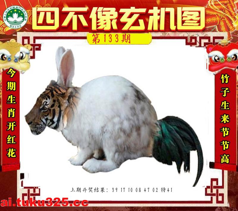 tester_1063_133.jpg